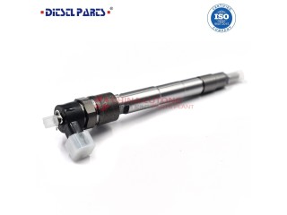 Common Rail Fuel Injector 0445110465