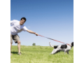 phoenix-dog-trainers-small-0