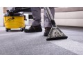 best-carpet-and-upholstery-cleaner-pembroke-pines-small-0