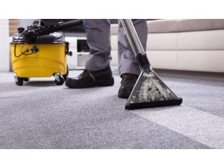 Best Carpet And Upholstery Cleaner Pembroke Pines