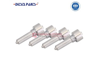 Common Rail Fuel Injector Nozzle L096PBD